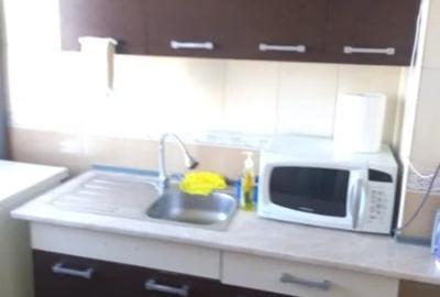 Titan METROU,Parc,Park Lake,Renovata,Libera - 2