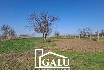 Casă cu 3 camere în Central - 2