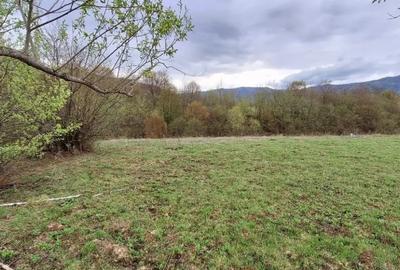 Teren în Șinca - 7