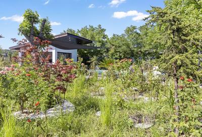 Vilă Nouă de Lux cu Piscină și Spa în Zona Selectă Snagov - 43