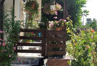 Proprietar vand casa Peris Cocioc Ilfov construc?ie noua - 2