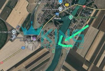 Teren Construcții intravilan de 3000 mp, în Ileana