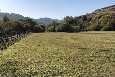 Casă cu 9 camere cu Teren 8233 Mp în Mărgău - 8