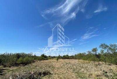 Casa cu teren 3407 mp, la asfalt, Seceani, 26 km de Timisoara. - 3