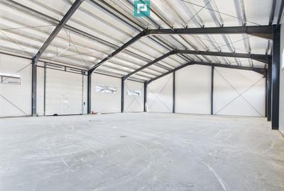 Hala industriala in zona Giarmata Timi? - 4