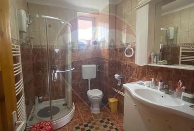 DE VANZARE Casa / Vila cu 6 camere  Podul Dambovitei/ Arges - 17