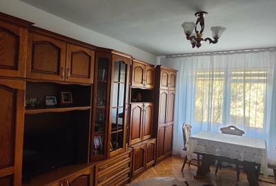 Apartament cu 2 camere decomandat în Mureșeni - 1