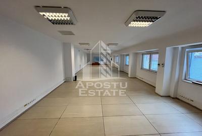 Imobil de vanzare P+M, 173 mp utili,  Elisabetin. - 19