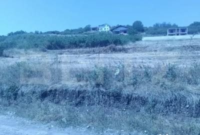 Teren de 1000 mp, în Central - 2