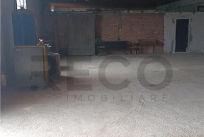 RECO Hale predestinate prelucrarea lemnului, loc. Auseu, sat - 7