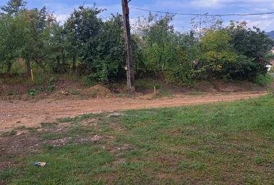 Casa + teren 1400 mp in Galgau, Salaj 3 camere, anexe, zona verde, 20 km de Dej - 8