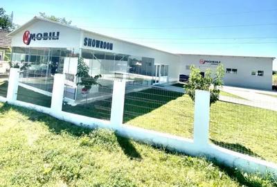 Spațiu comercial, de 460 mp, în Giubega - 8