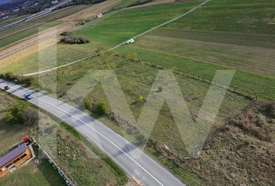 Teren extravilan  3.942 mp de vanzare – Talmaciu, jud. Sibiu - 5