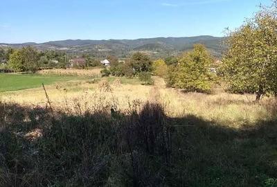 Teren de 3834 mp, în Negoiești