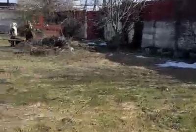 Spațiu comercial, în Rudeni - 12