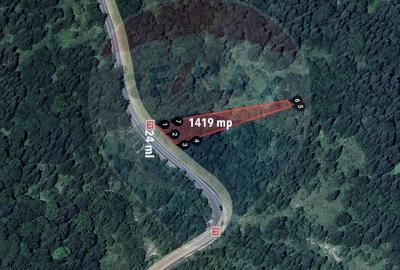 Teren intravilan de 1419 mp, în Moroeni - 4