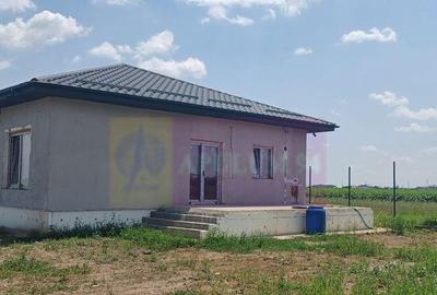 Casa noua parter, 4 camere, curte 400mp, Sabareni Casa noua parter, 4 camere, curte 400mp, Sabareni - 3