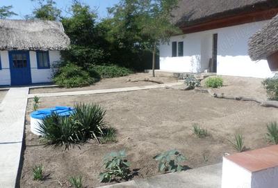 Delta Dunarii, Romania, localitatea LETEA, proprietate de VIS, - 7