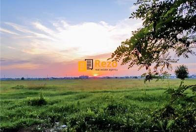 OTOPENI, DRUMUL ODAII, ION CREANGA, TEREN 14.926 MP INTRAVILAN OTOPENI, DRUMUL ODAII, ION CREANGA, TEREN 14.926 MP INTRAVILAN - 1