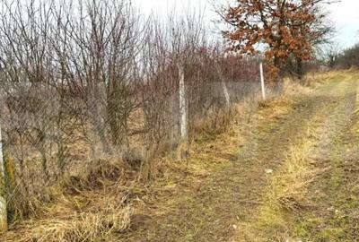 Teren de 2900 mp, în Central