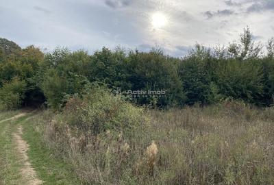 Teren extravilan de vanzare in Tileagd - 3166 mp cu panorama superba - 8