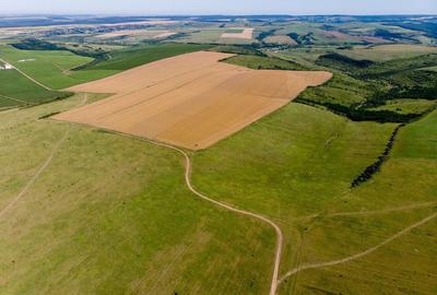 Teren arabil de 147 hectare in Giurgiu - 6