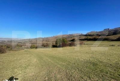 Teren de 998 mp, în Florești - 6