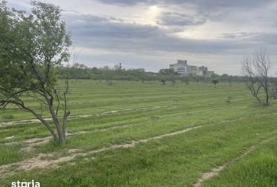 Teren de 5800 mp, în Cârcea - 2