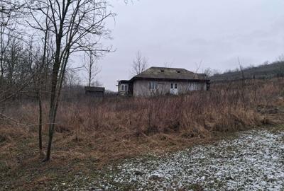 Teren de 12000 mp, în Vladnic - 12