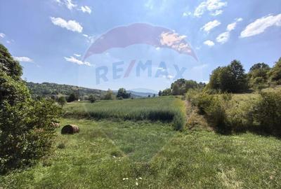 Casa cu teren generos de 62 ari Berin?a, Maramure? - 1