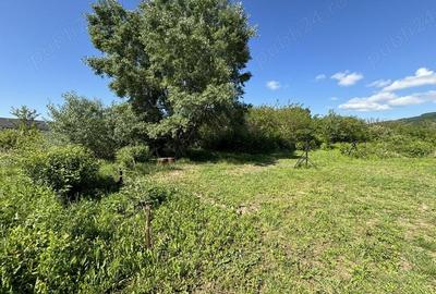 Teren de 2170 mp, în Olteni