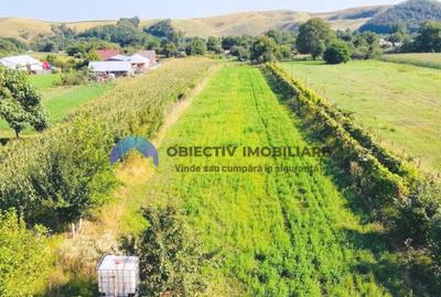 TEREN intravilan 6764 mp DRAGOMIRESTI - VAD - 9