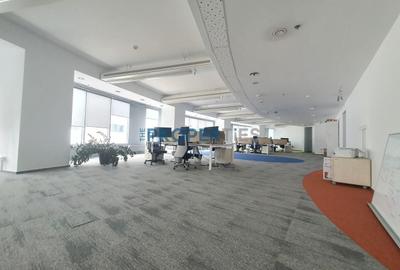 Birou, de 585 mp, în Floreasca - 3
