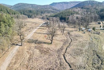 Teren intravilan - 4