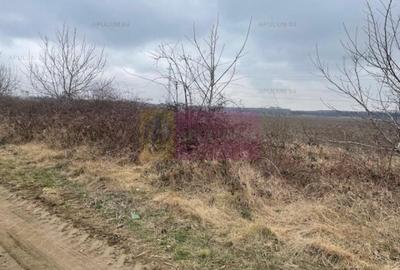 Teren Splaiul Unirii- Confort City. Teren Splaiul Unirii- Confort City. - 1