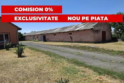 Casă cu 4 camere cu Teren 5456 Mp în Nădlac