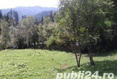 Teren de 5062 mp, în Voineasa - 10