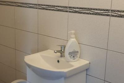 Casă cu 3 camere cu Teren 175 Mp în Sânpetru - 9