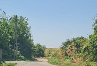 Teren Construcții intravilan de 924 mp, în Dridu - 3