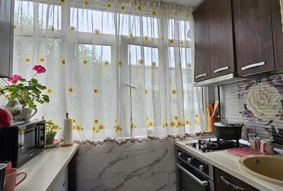 Apartament cu 2 camere decomandat în Craiovița Nouă - 4