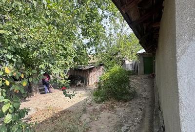 Casă cu 5 camere cu Teren 1000 Mp în Ghimpați - 2