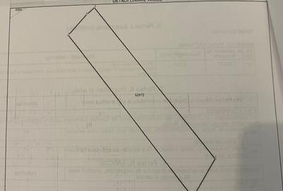 Teren agricol extravilan de 23700 mp, în Nadeș - 5