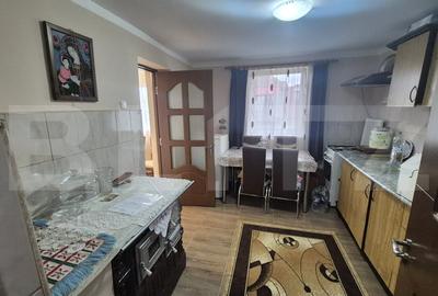 Casa cu 2 camere, 65 mp, teren 2910 mp, in Viile Satu Mare - 10