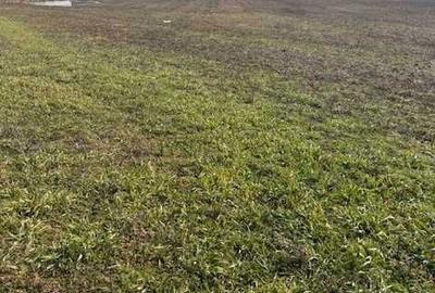 Spațiu comercial, în Pielești - 2