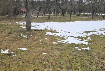 Casă cu 4 camere în Vlaha - 6
