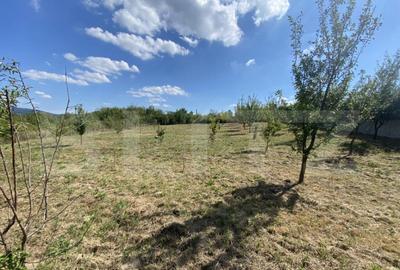 Teren intravilan in Aghires in suprafata de 1500 mp - 13