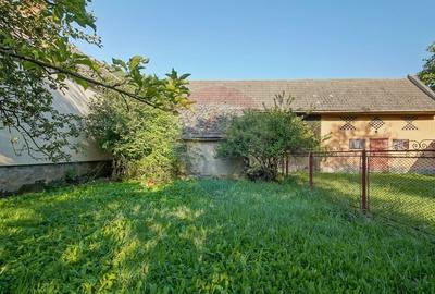 Teren intravilan 7.255 mp +casă rustică – ideal pensiune în Vama Buzău - 8