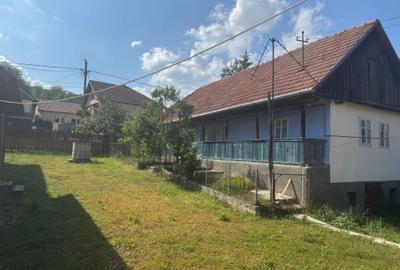 Casă cu 2 camere în Sic - 3