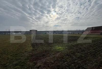 Teren de 1597 mp, în Vințu de Jos - 1