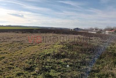 Teren intravilan de 16600 mp, în Bucovăț (Remetea Mare) - 4